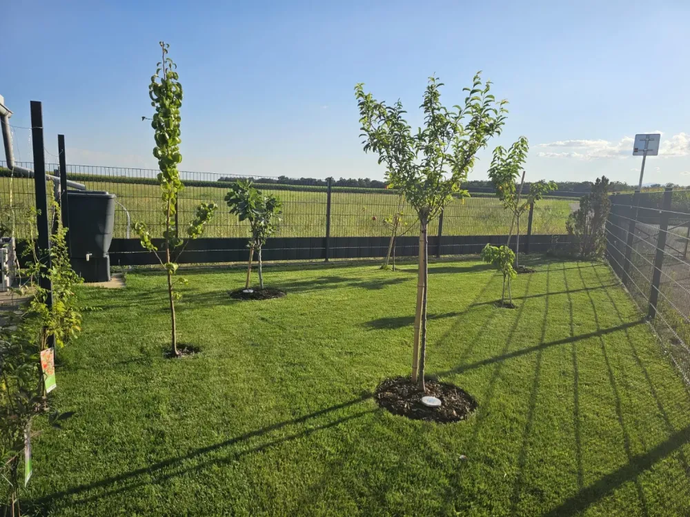 amenagement exterieur (2)