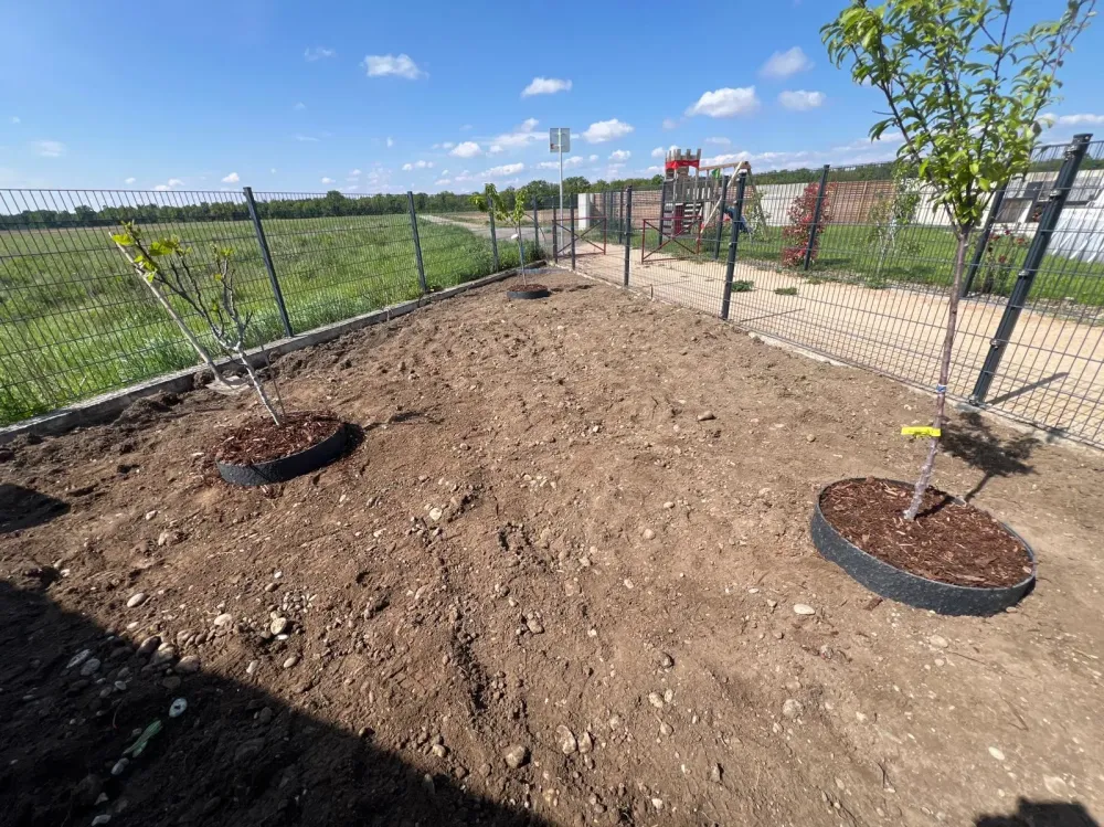 amenagement exterieur (3)